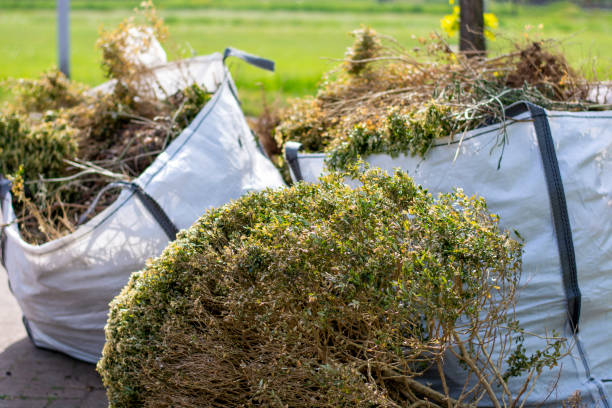 Best Yard Waste Removal  in Cambridge City, IN